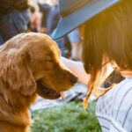 ペットロスを予防するのに今マグネシウムが注目されている？