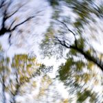 メニエール病を予防するのに今マグネシウムが注目されている？